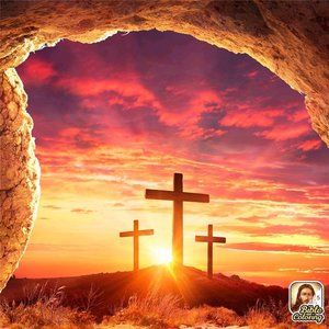 Meet your Posher, Rena